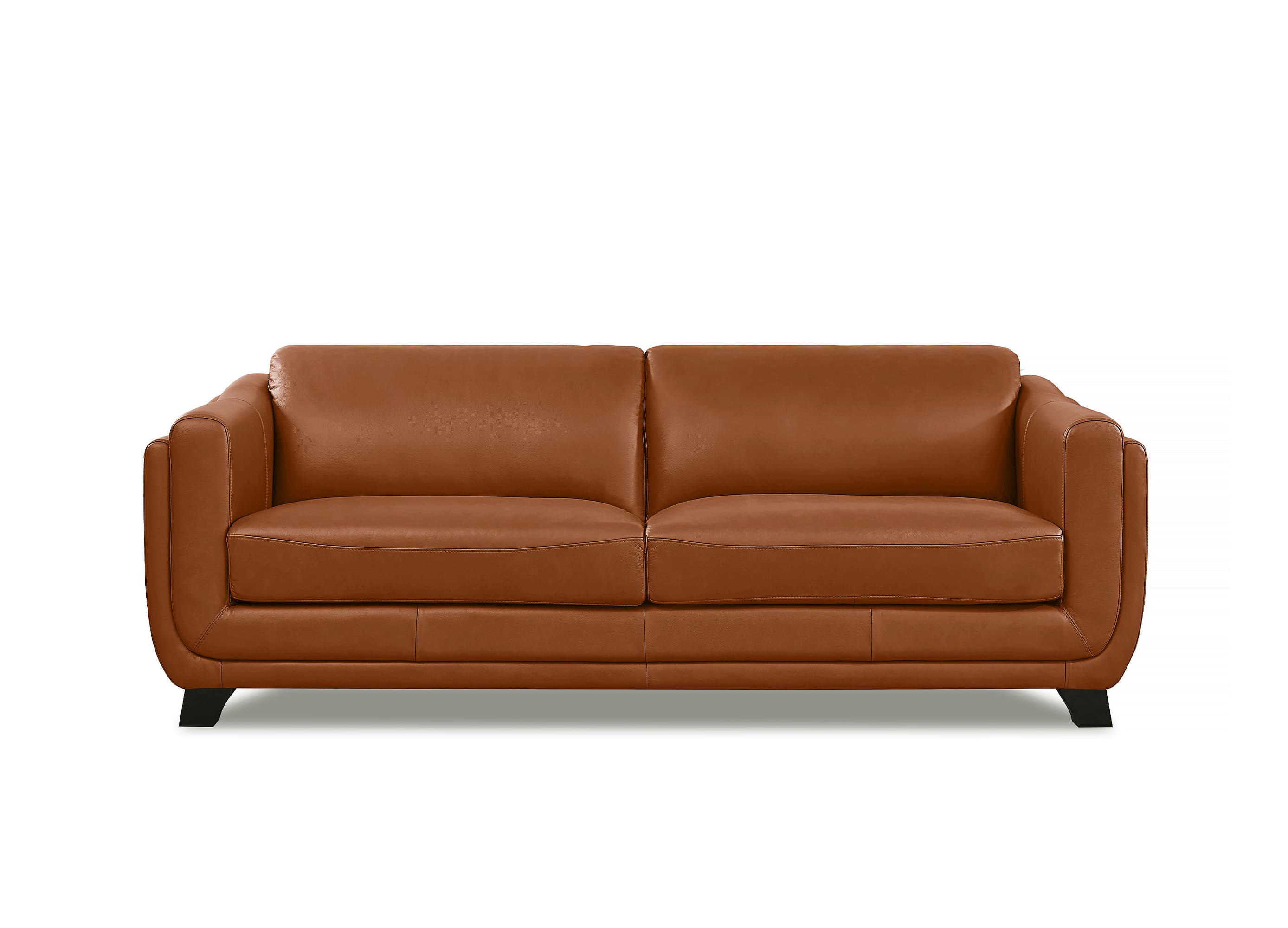 Fremont Leather Sofa Collection