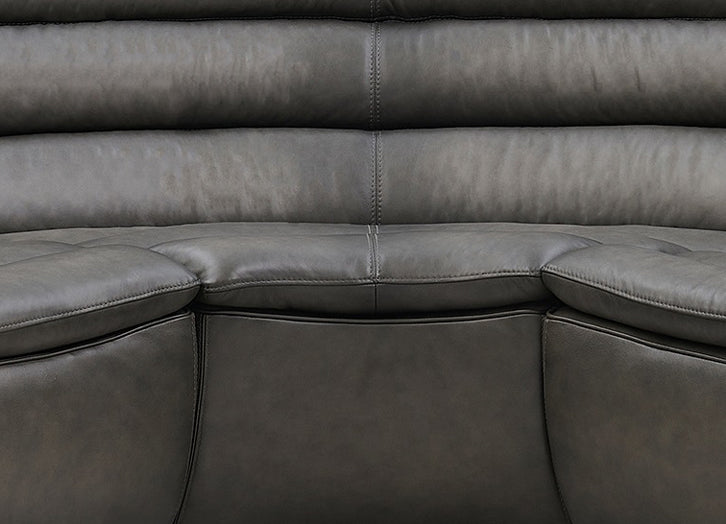 Carter Leather Sectional Collection