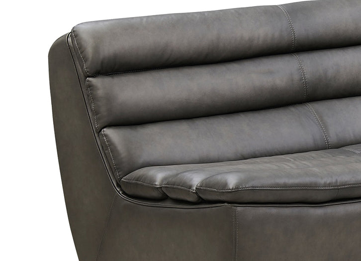Carter Leather Sectional Collection
