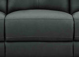 Chinook Power Headrest Zero Gravity Reclining Sofa Collection