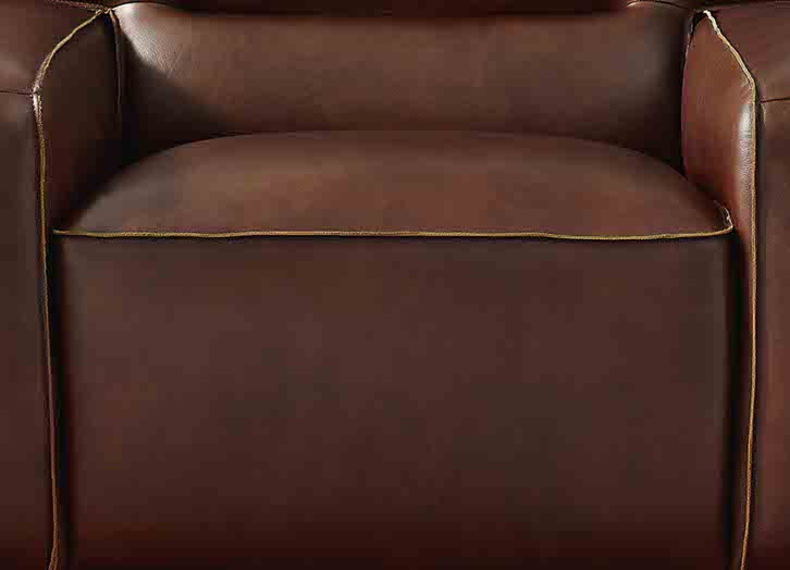 Dani Leather Sofa Collection