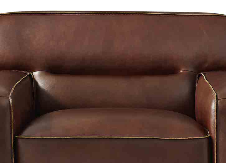 Dani Leather Sofa Collection