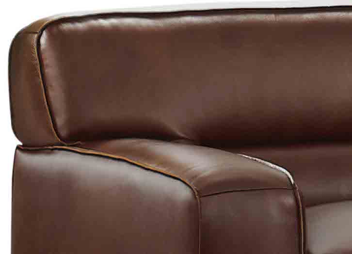 Dani Leather Sofa Collection