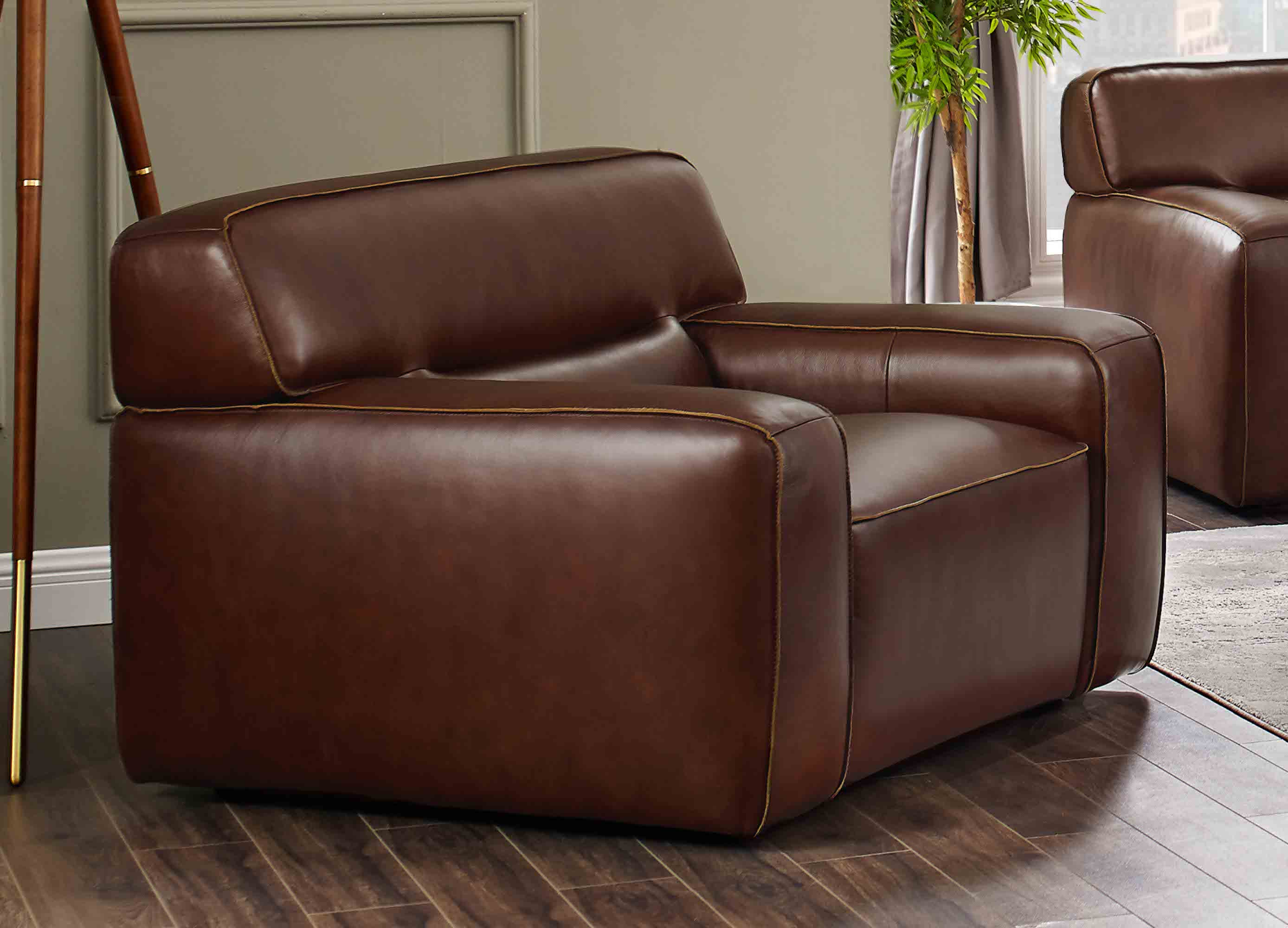 Dani Leather Sofa Collection