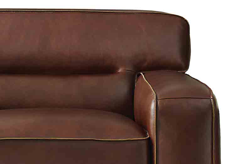 Dani Leather Sofa Collection