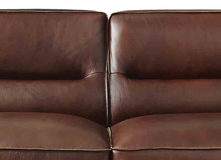 Dani Leather Sofa Collection