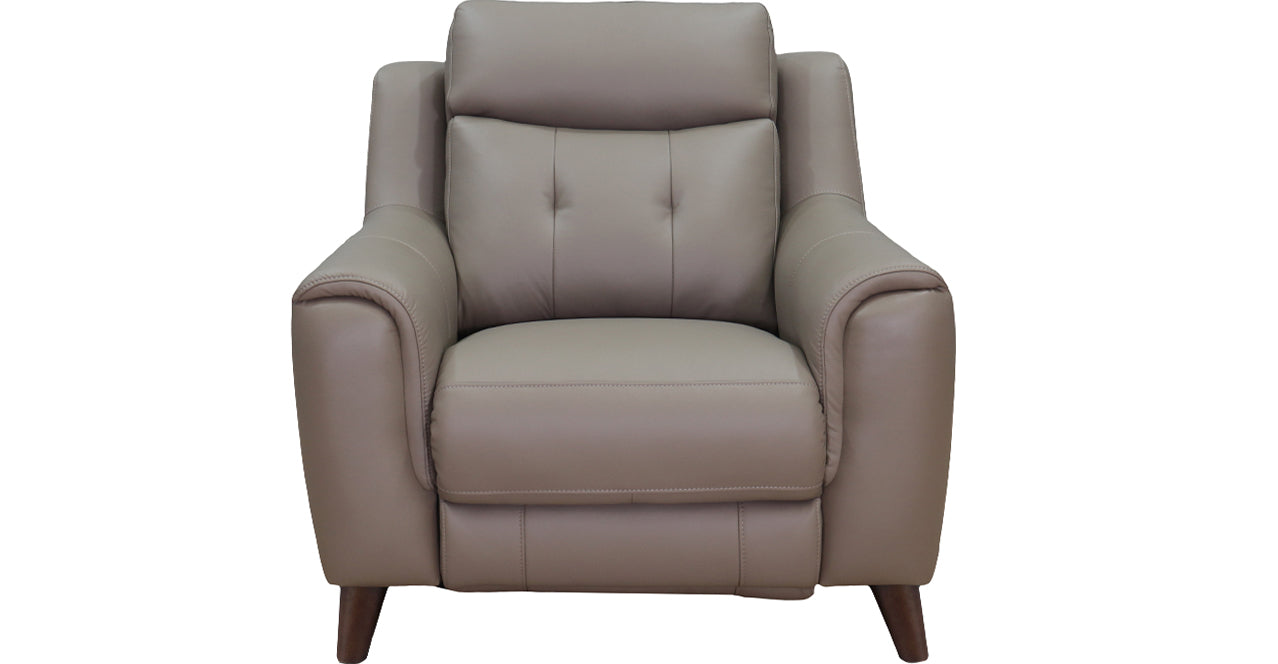 Torino Power Headrest Lumbar Power Leather Recliner, Taupe Brown