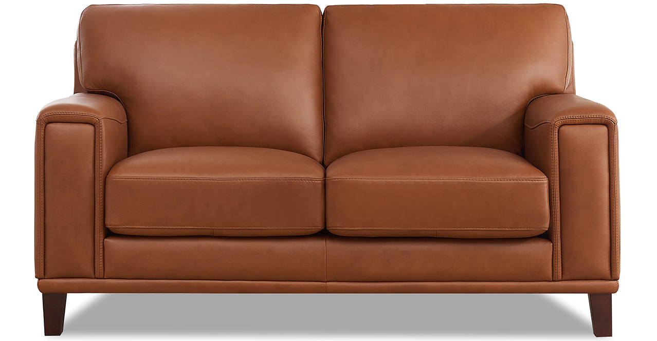 Hayward Leather Sofa Collection
