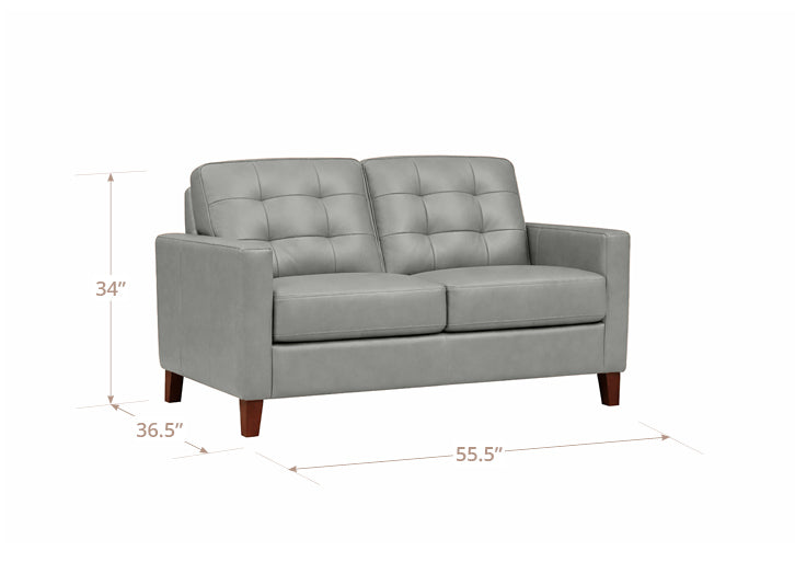Aiden Leather Sofa Collection