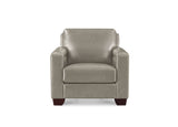 A modern armchair upholstered in light taupe leather with dark brown wooden legs, shown from the front on a white background.