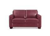 A two-seater loveseat sofa upholstered in burgundy leather, shown from a front-facing perspective on a solid white background.