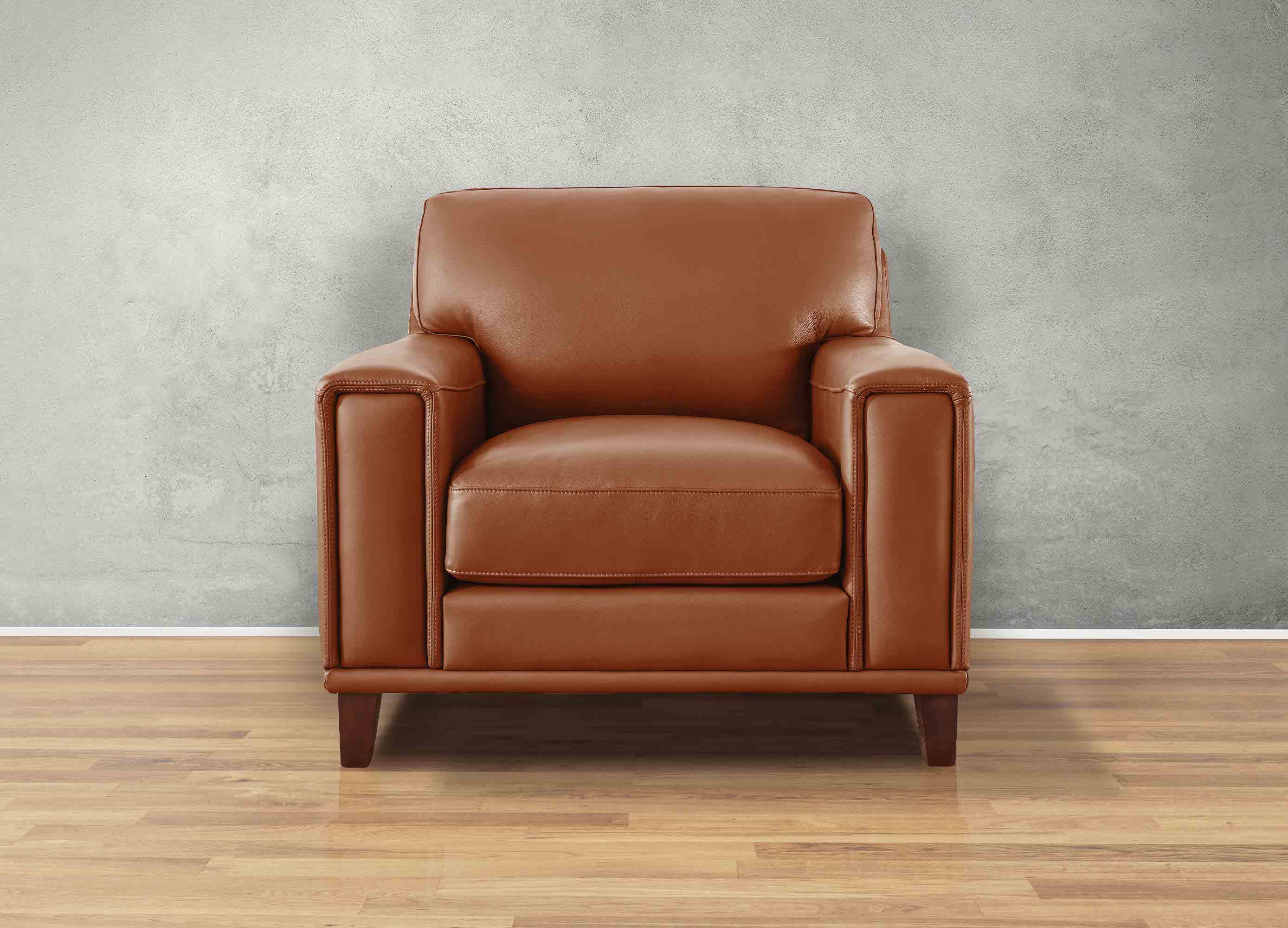 Hayward Leather Sofa Collection