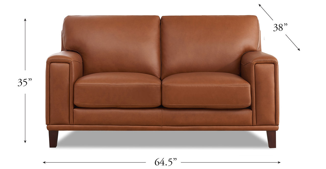 Hayward Leather Sofa Collection