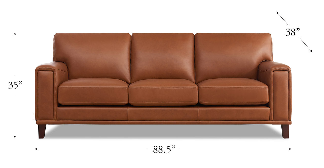 Hayward Leather Sofa Collection