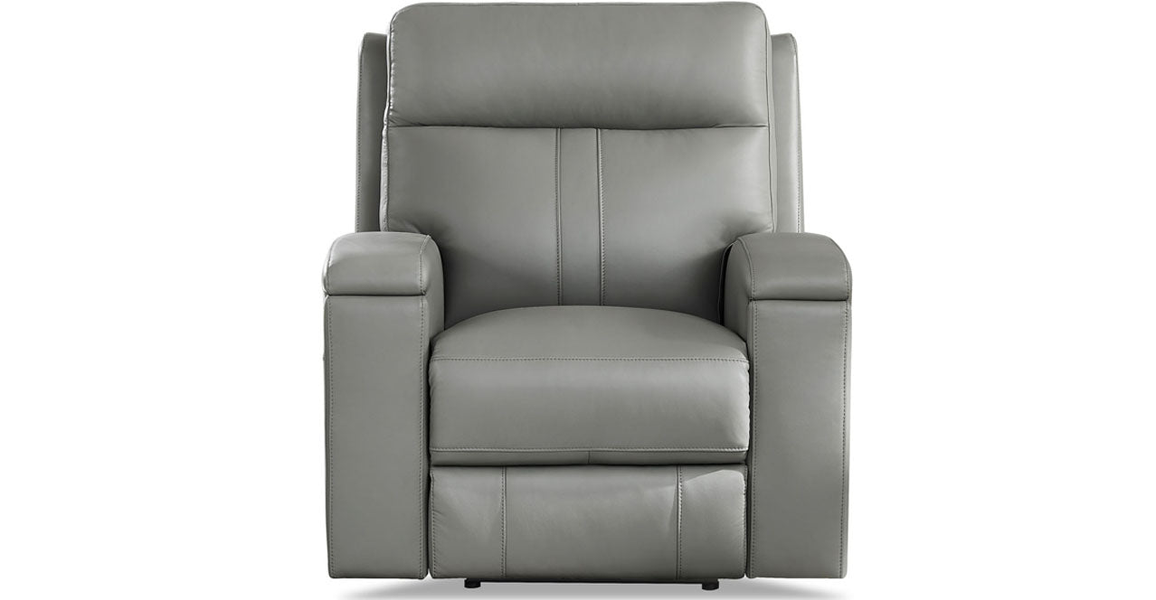 Bruce Leather Power Recliner