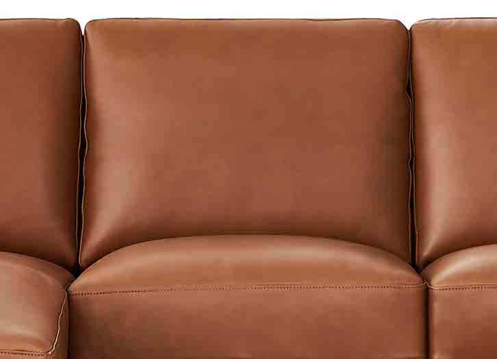 Dillon Leather Sectional Collection