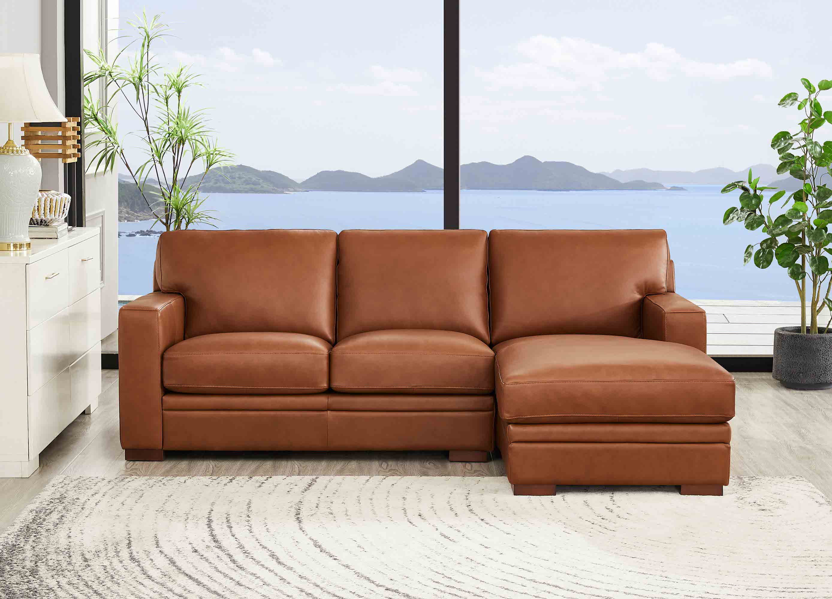 Dillon Leather Sectional Collection