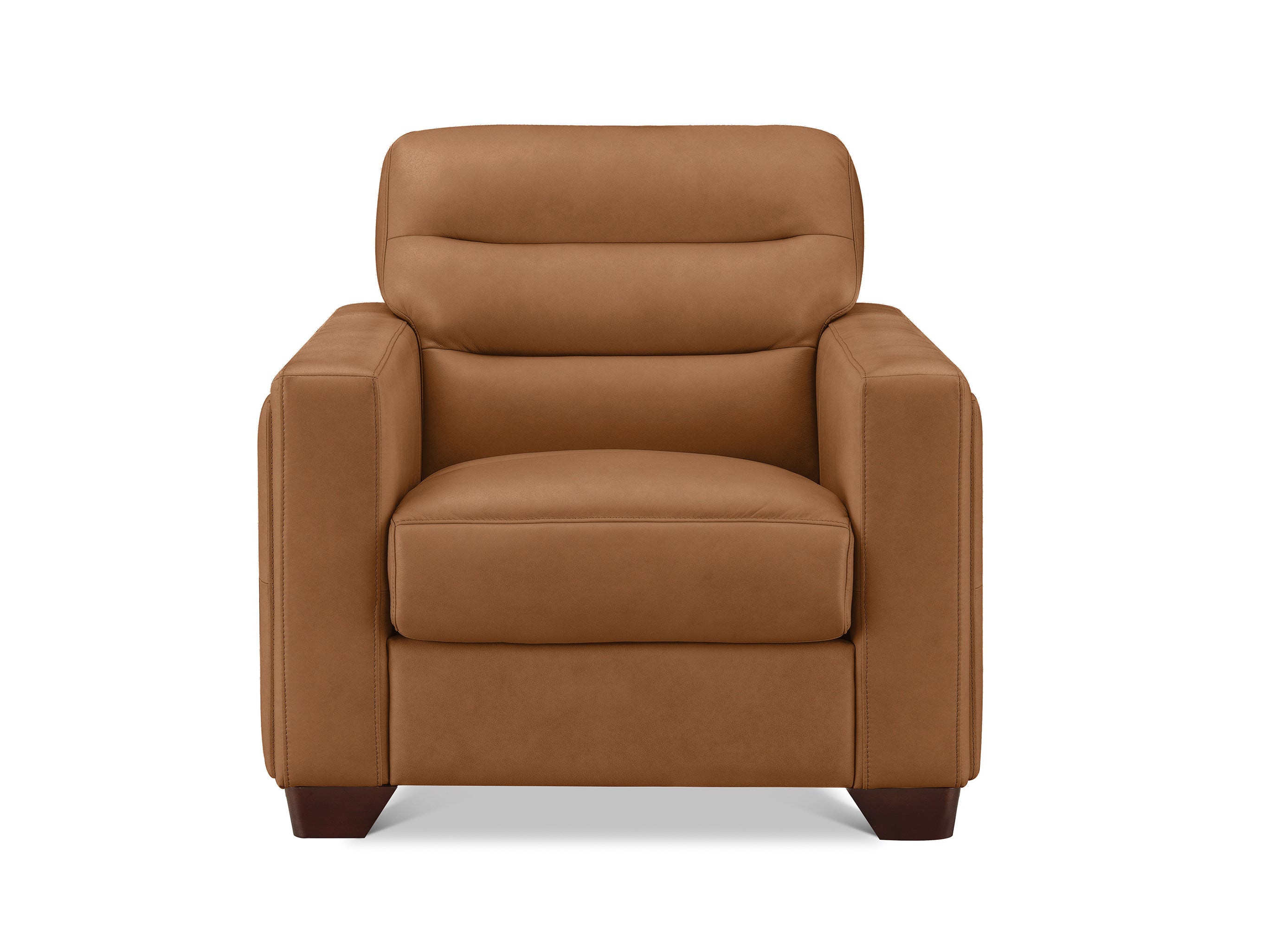 Monticello Leather Sofa Collection