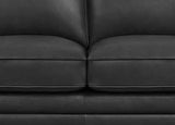 Camano Leather Sofa Collection