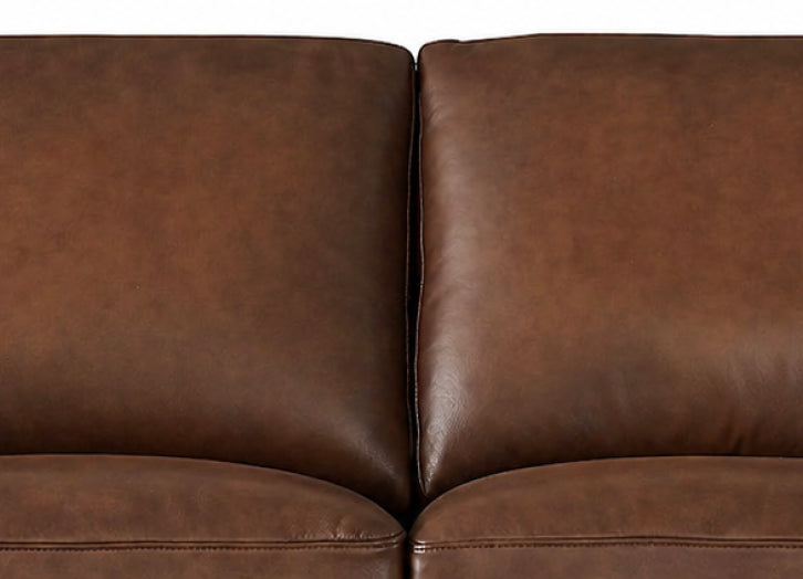 Dillon Leather Sofa Collection