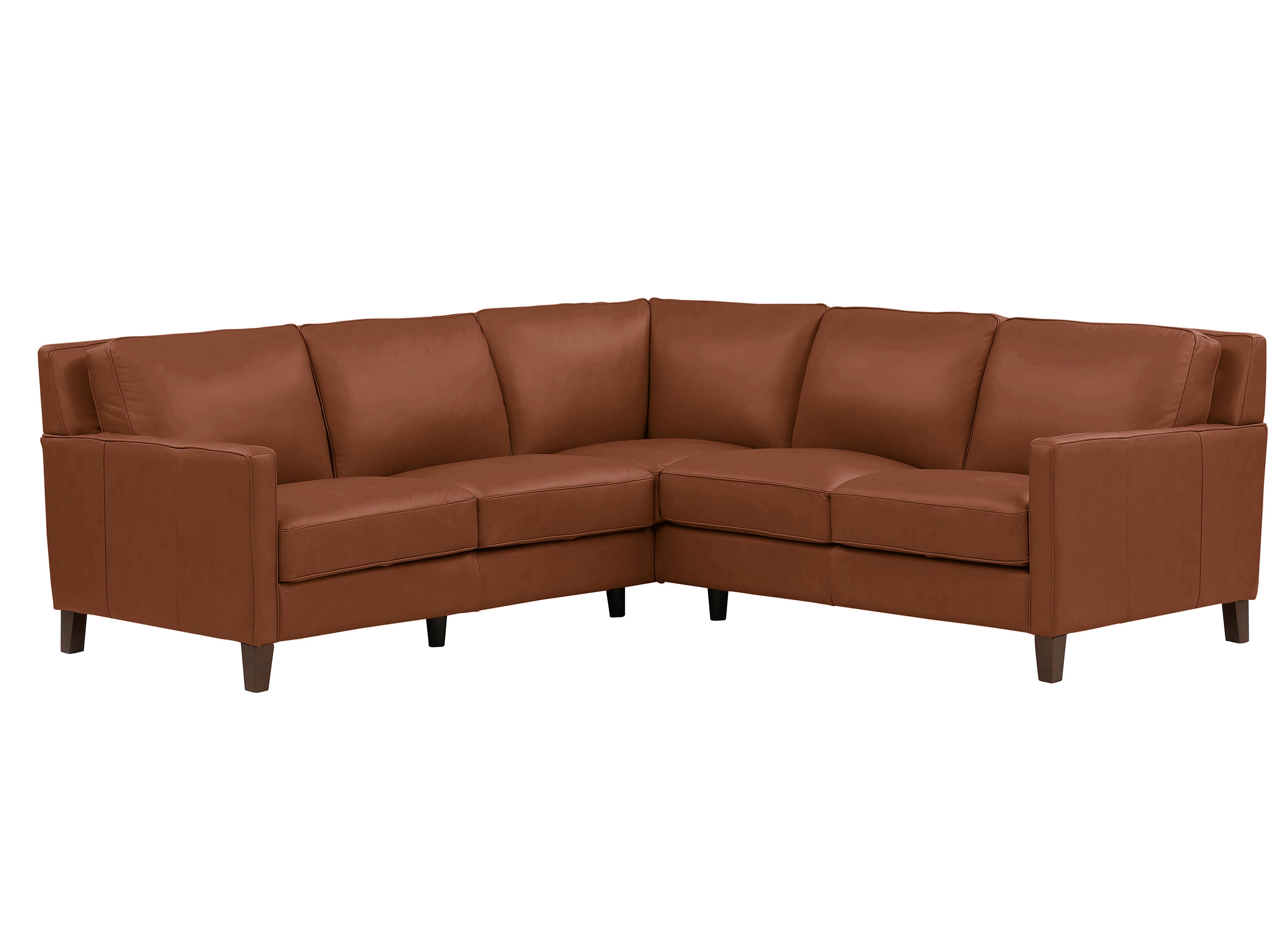 Ashby Leather Sectional Collection