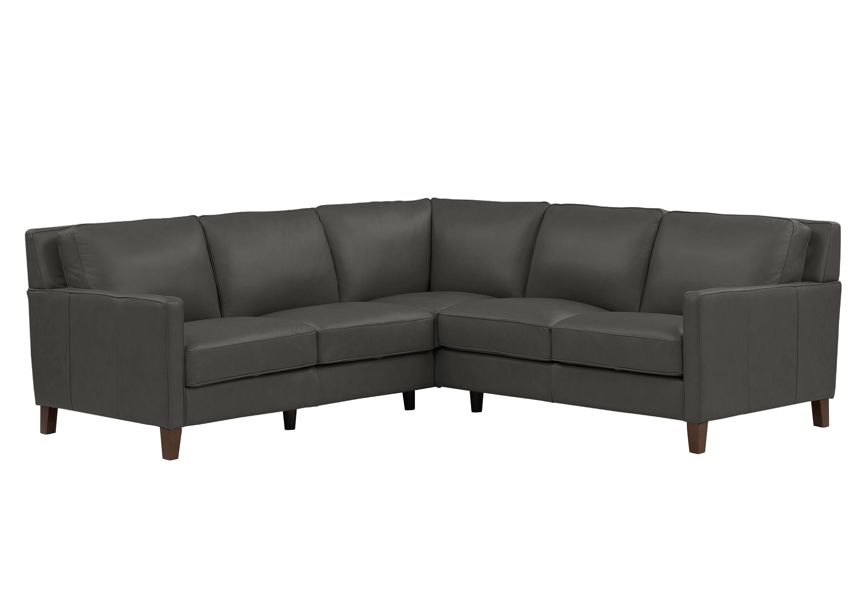 Ashby Leather Sectional Collection