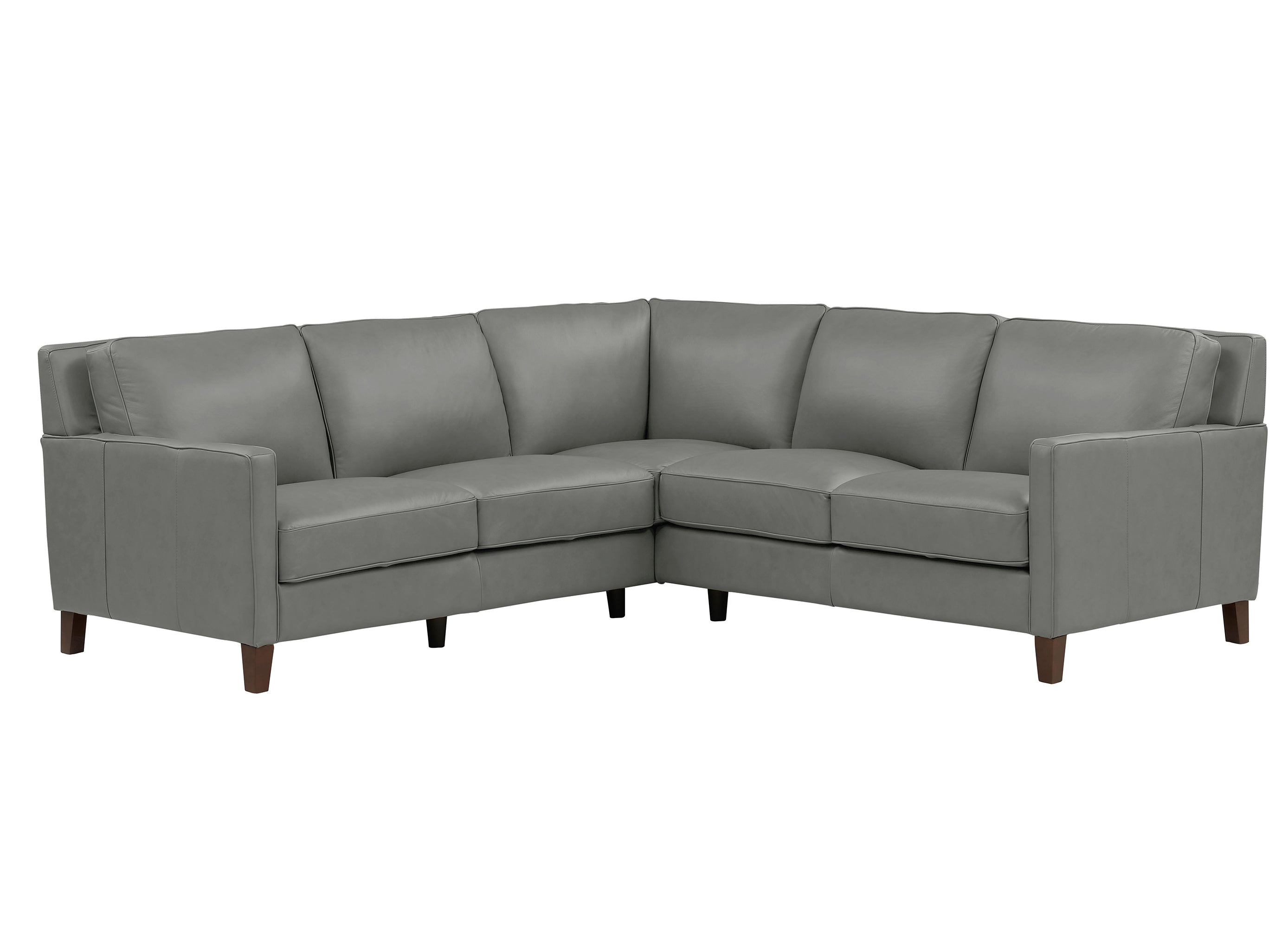 Ashby Leather Sectional Collection