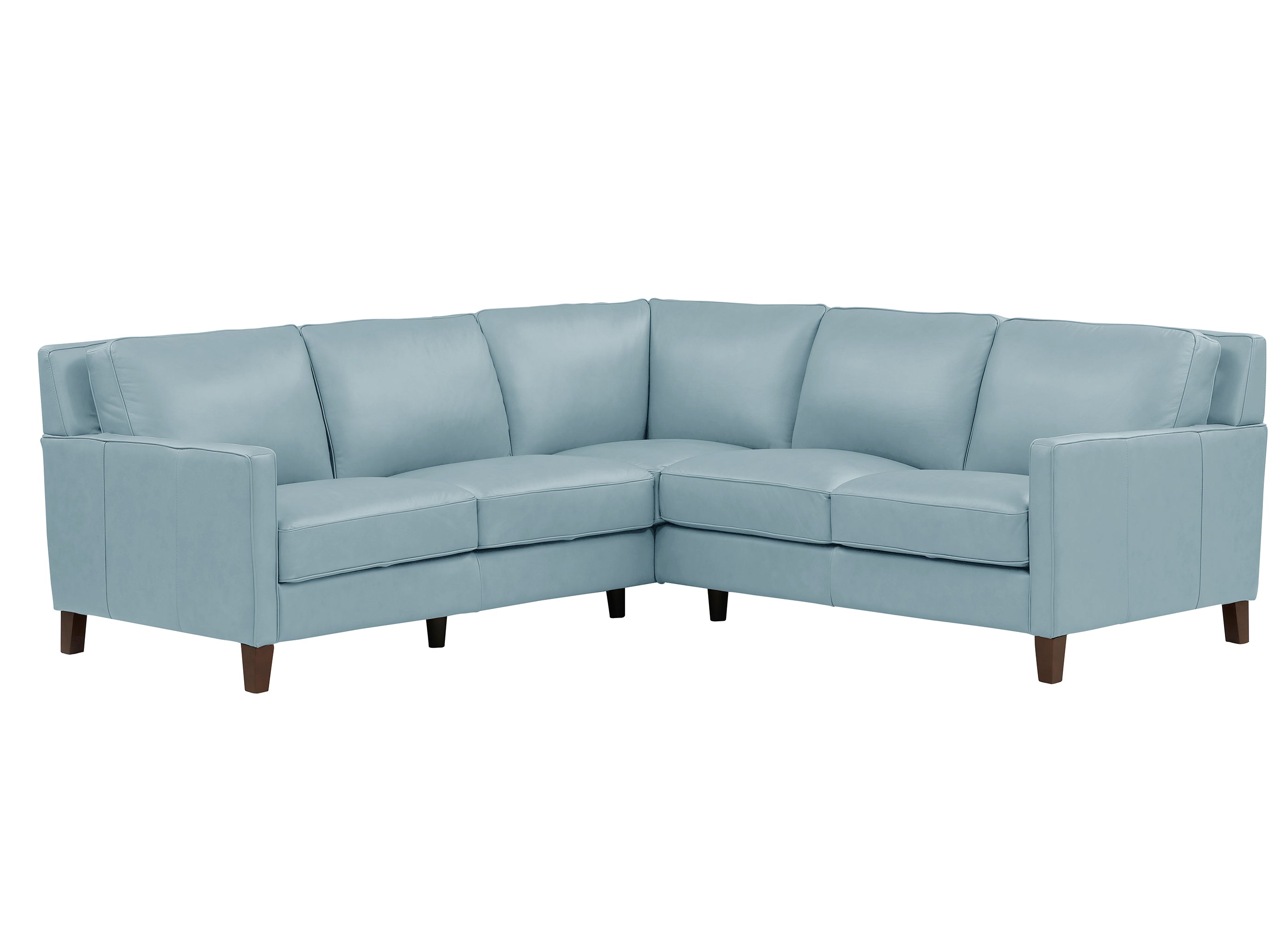 Ashby Leather Sectional Collection