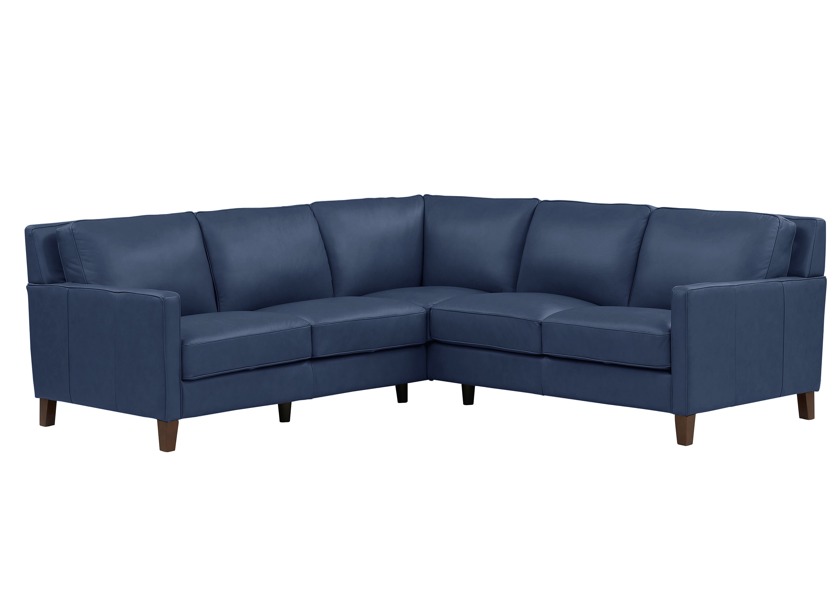 Ashby Leather Sectional Collection