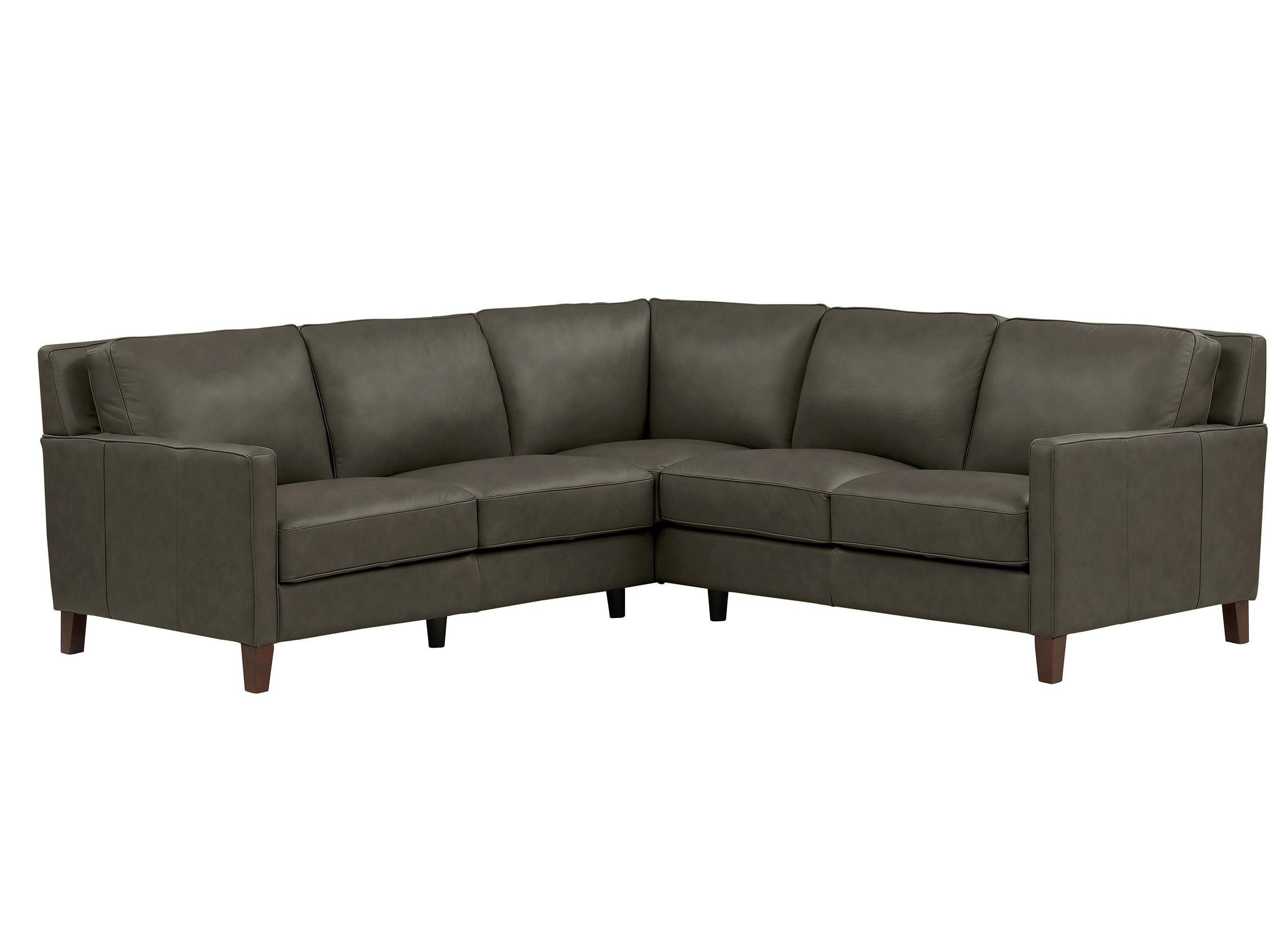Ashby Leather Sectional Collection