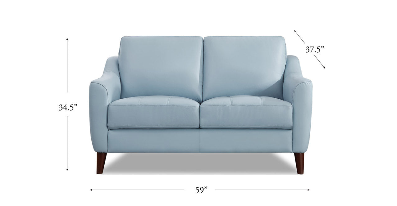 Ersa Leather Sofa Collection