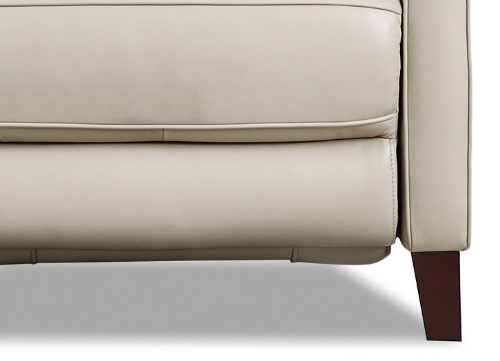 Ashby Power Headrest & Lumbar Zero Gravity Reclining Sofa Collection