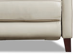 Ashby Power Headrest & Lumbar Zero Gravity Reclining Sofa Collection
