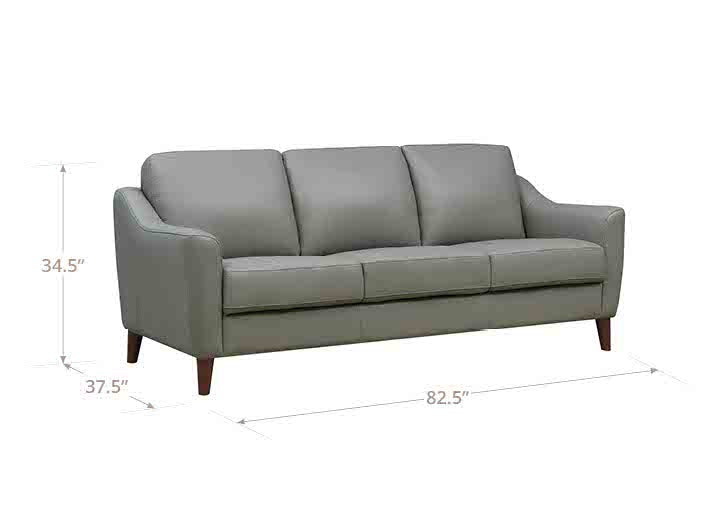 Ersa Leather Sofa Collection