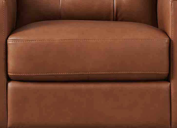 Aiden Leather Sofa Collection