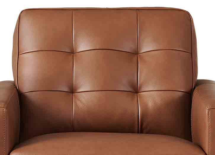 Aiden Leather Sofa Collection