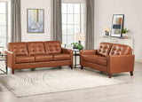 Aiden Leather Sofa Collection