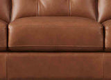 Aiden Leather Sofa Collection