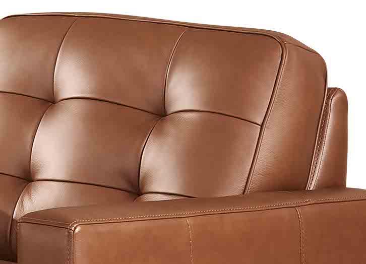 Aiden Leather Sofa Collection