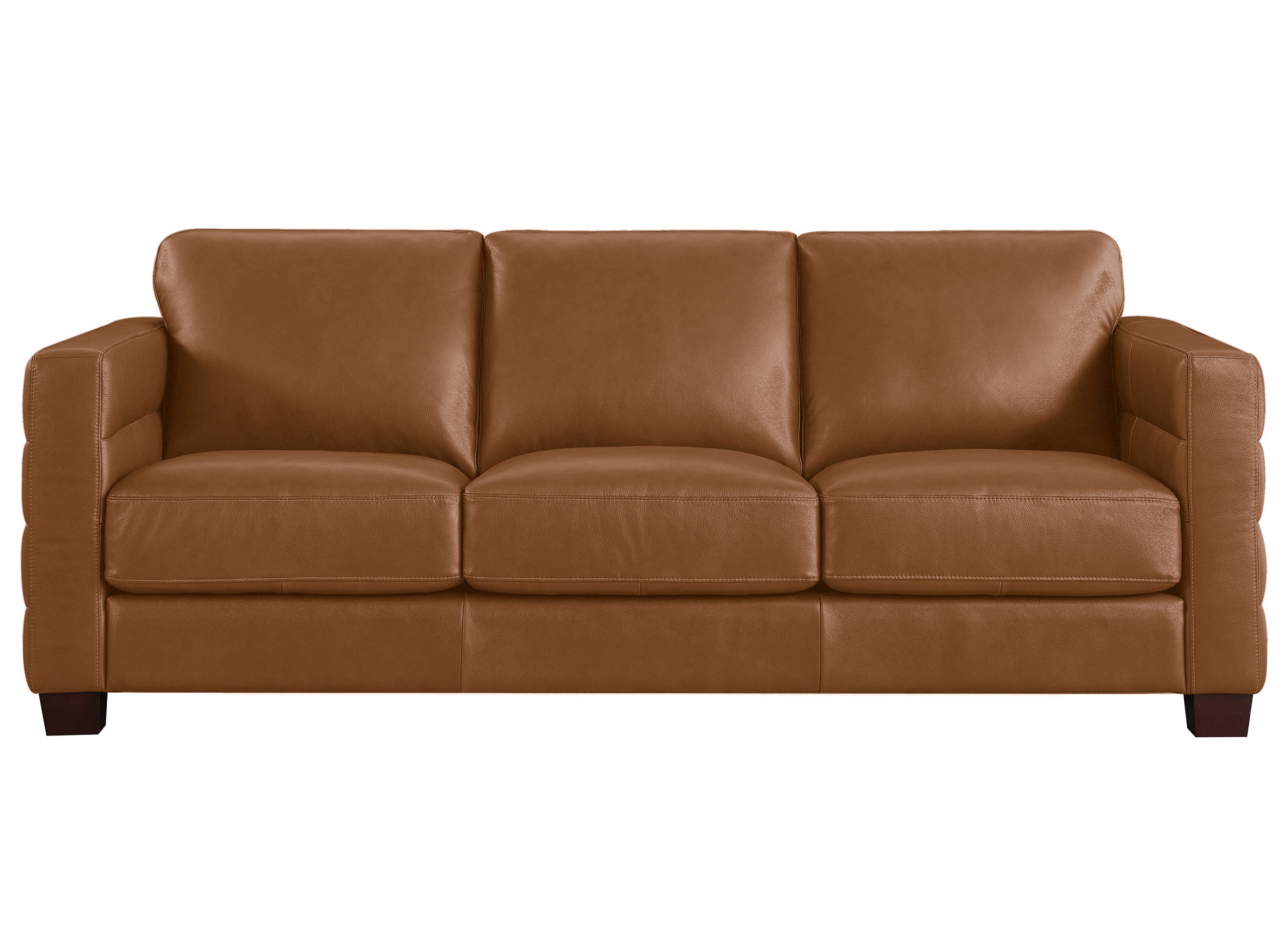Ventura Top Grain Leather Sofa Collection