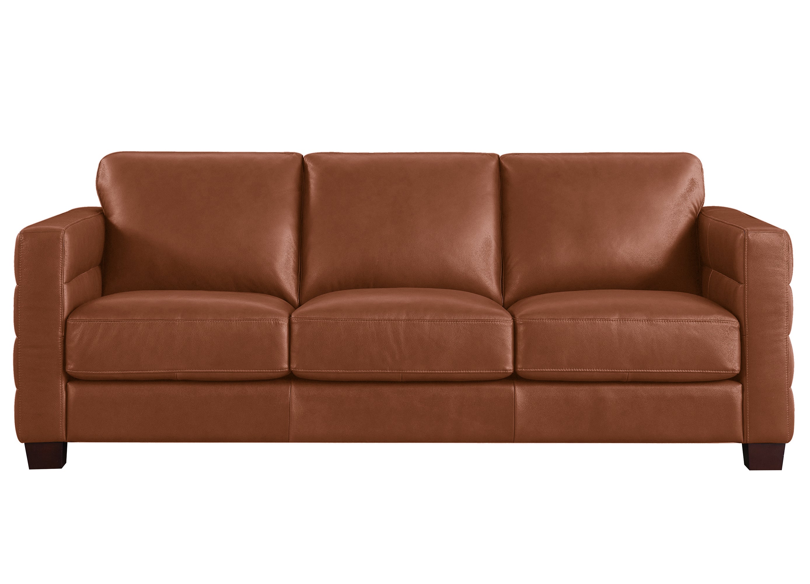 Ventura Top Grain Leather Sofa Collection