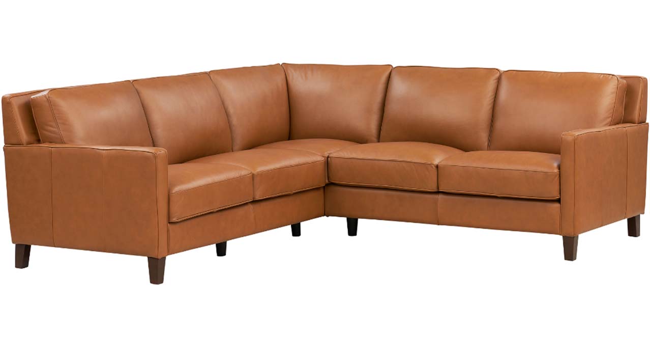 Ashby Leather Sectional Collection