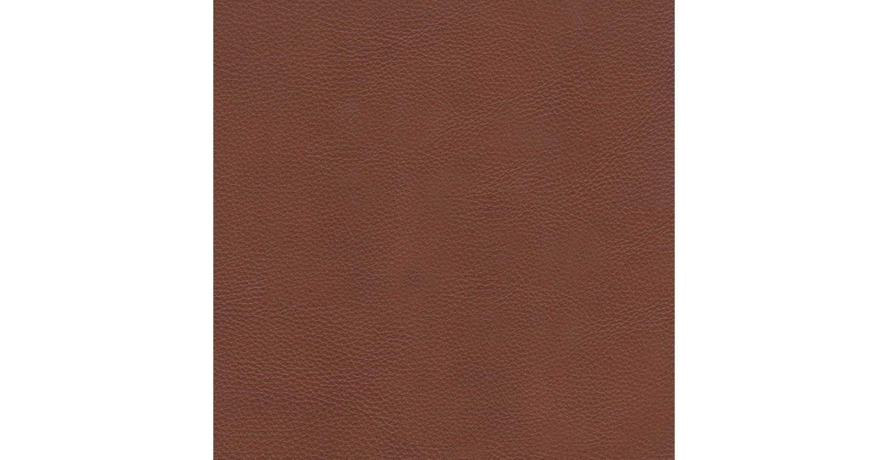 Dillon Leather Sofa Collection - Hydeline USA