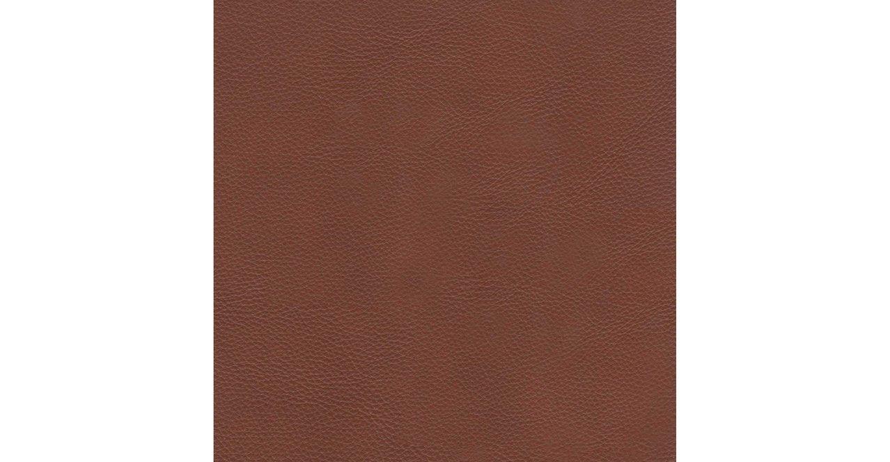 Mary Leather Sofa Collection - Hydeline USA