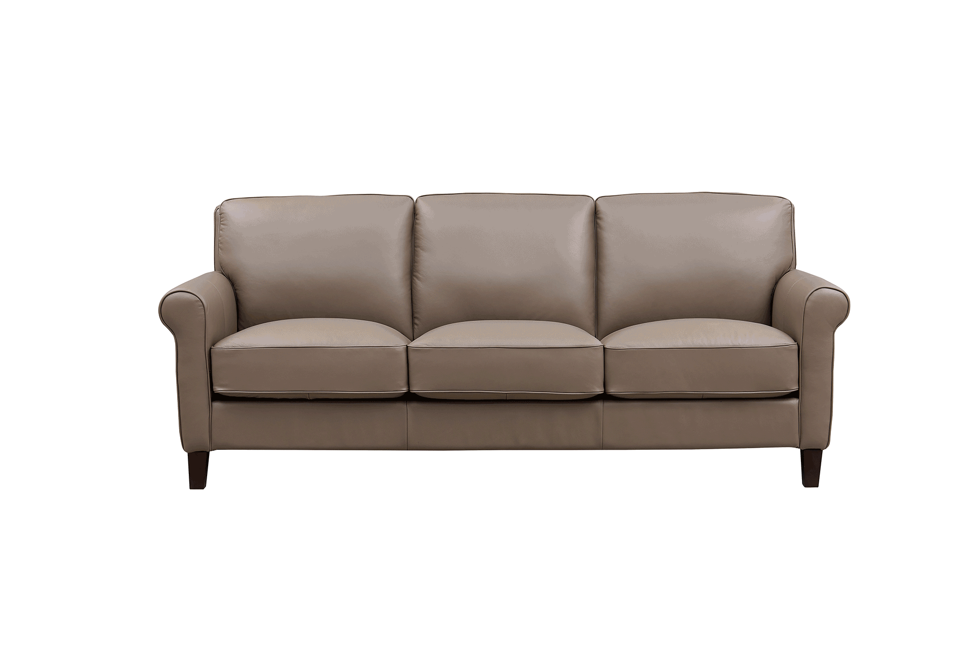 Laguna Leather Sofa Collection - Hydeline USA