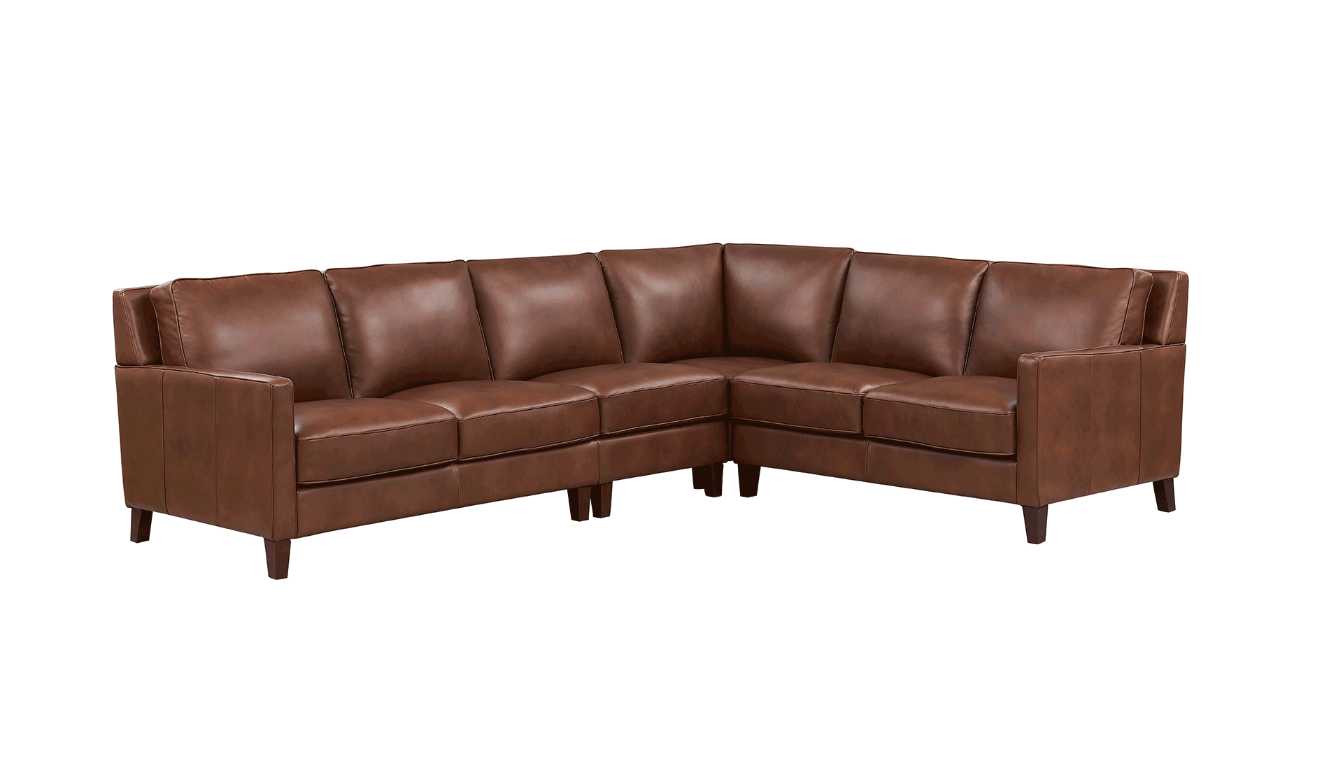 Ashby Leather Sectional Collection - Hydeline USA